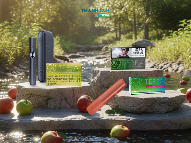 Terea vị táo tự nhiên