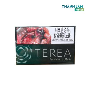 TEREA Black Green Hàn (Vị bạc hà đậm)
