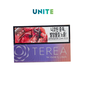 TEREA Yugen Hàn (Vị hương hoa bạc hà)