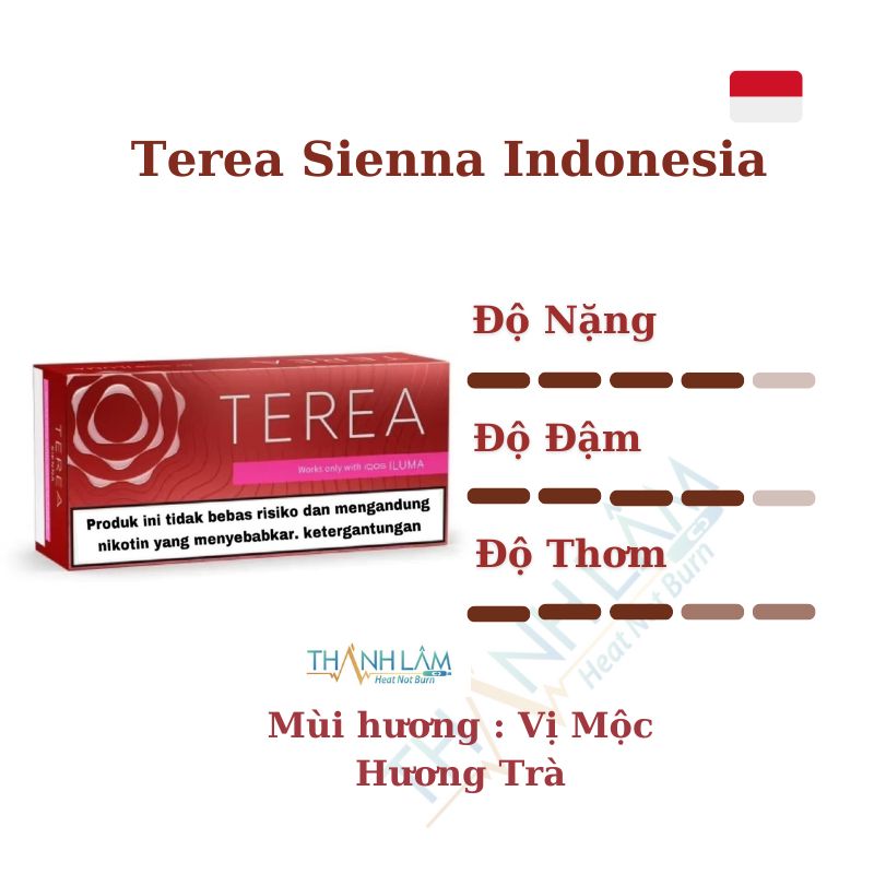 TEREA Sienna Indonesia (Vị mộc hương trà) - Ảnh 2