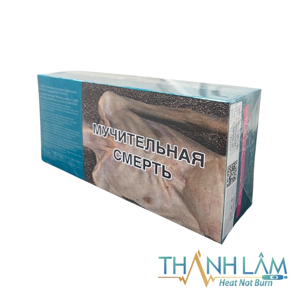 Terea Turquoise Kazakhstan Bạc Hà Nhẹ - Ảnh 4