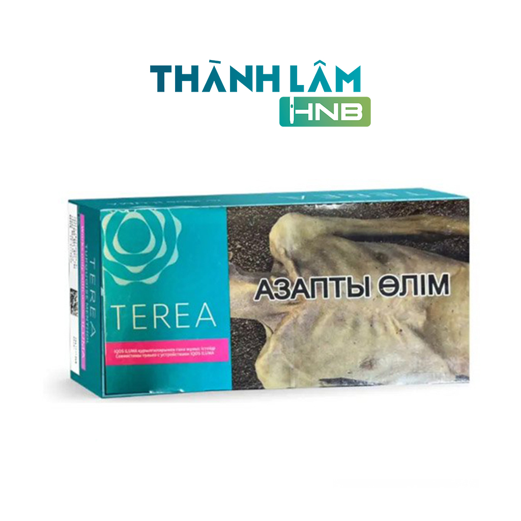 Terea Turquoise Kazakhstan Bạc Hà Nhẹ