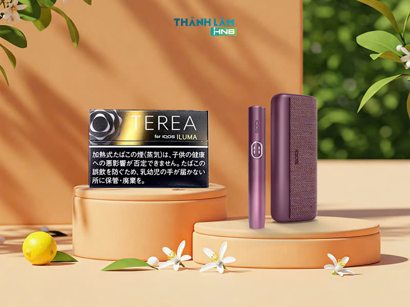 Terea Black Sunshine Menthol