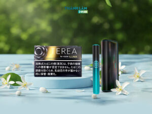 Terea Black Sunshine Menthol