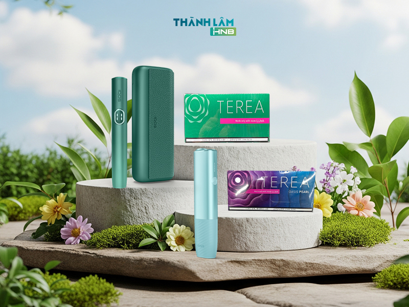 Mua terea Korea Hồ Chí Minh 