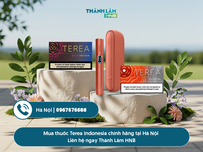 Mua thuốc Terea Indonesia tại Hà Nội 
