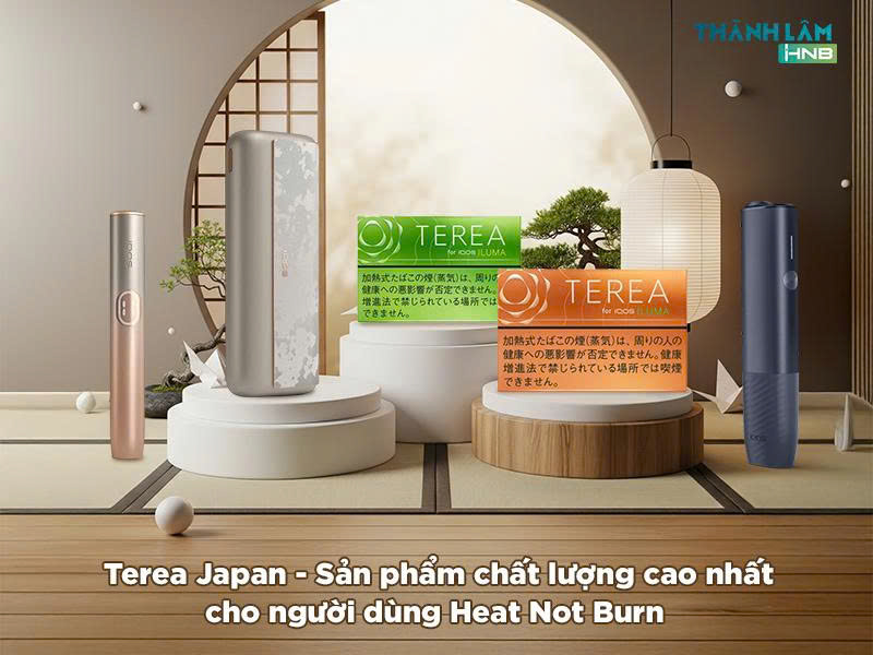 Mua Terea Japan tại Hà Nội 