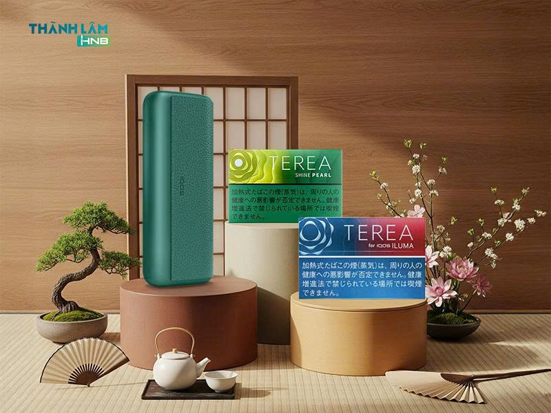 Mua Terea Japan tại Hà Nội 