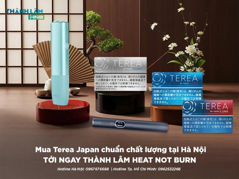 Mua Terea Japan tại Hà Nội 