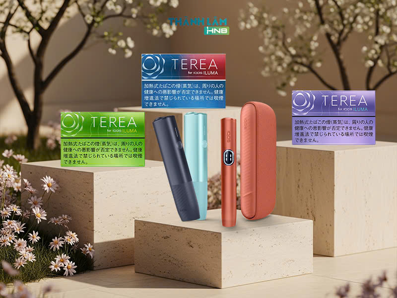 Mua Terea Nhật chính hãng tại Hồ Chí Minh 
