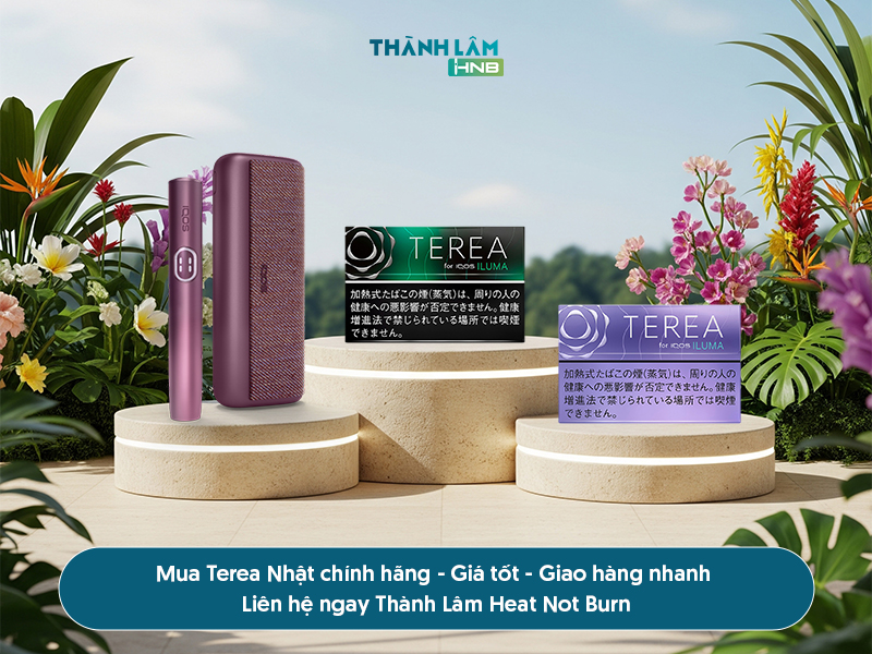 Có nên mua thuốc Terea Nhật 