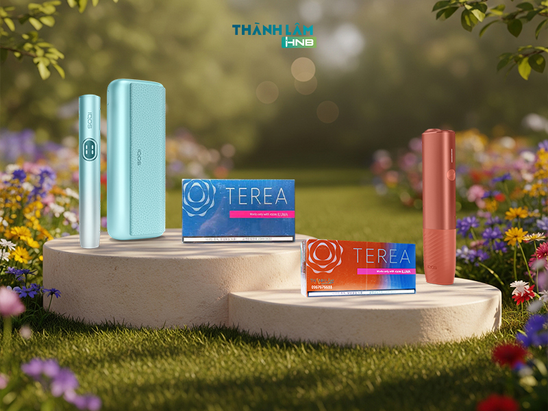 Đánh giá chất lượng Terea Hàn 