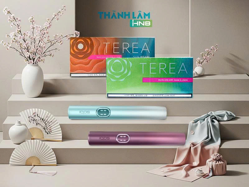 Mua Terea Hàn tại Hà Nội 