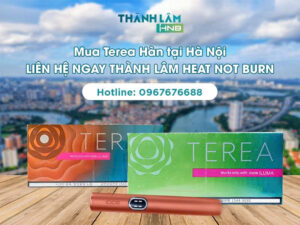 Mua Terea Hàn tại Hà Nội