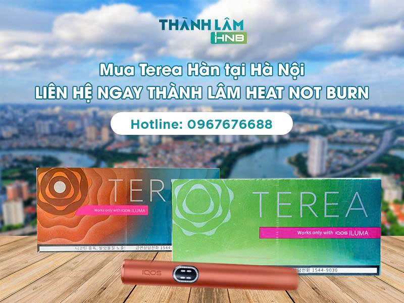 Mua Terea Hàn tại Hà Nội 