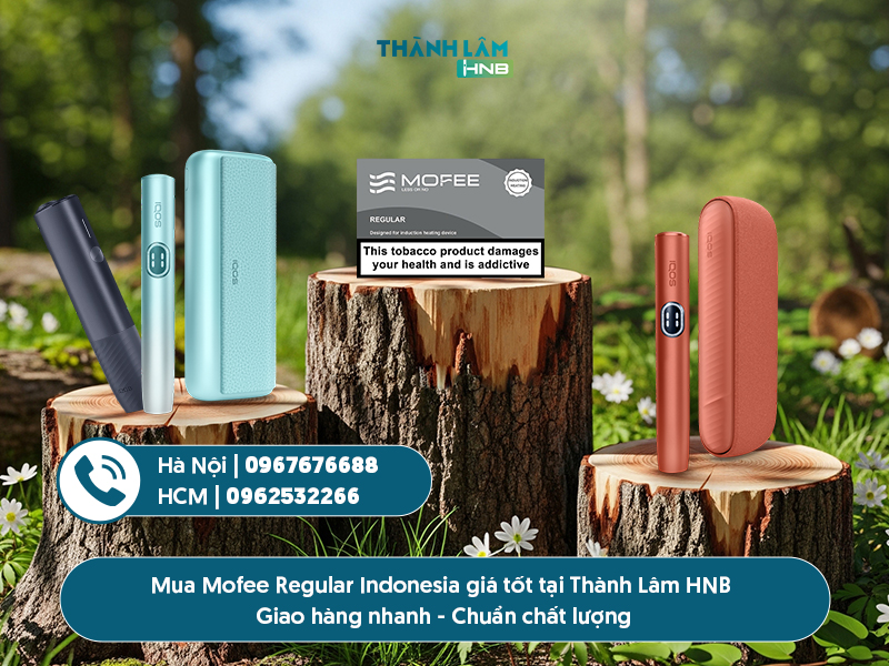 Mofee Regular Indonesia 