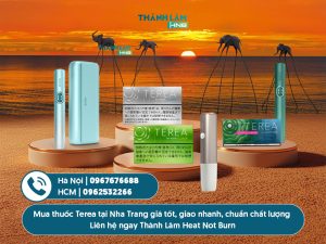 Mua thuốc Terea Phú Quốc