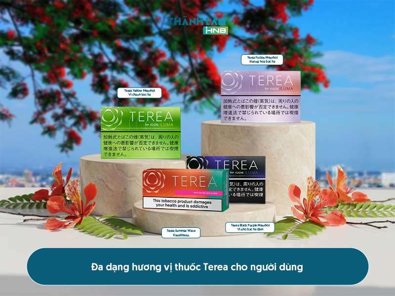 Mua thuốc Terea Hải Phòng