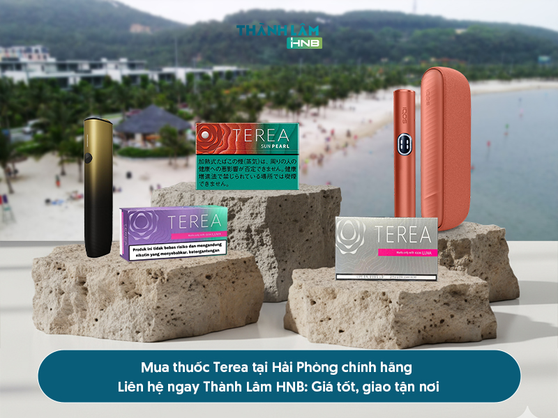 Mua thuốc Terea Hải Phòng