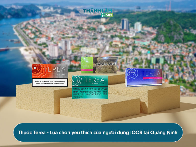 Mua thuốc Terea Quảng Ninh