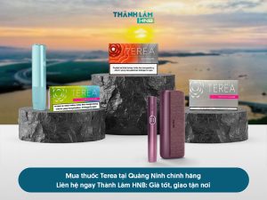 Mua thuốc Terea Quảng Ninh