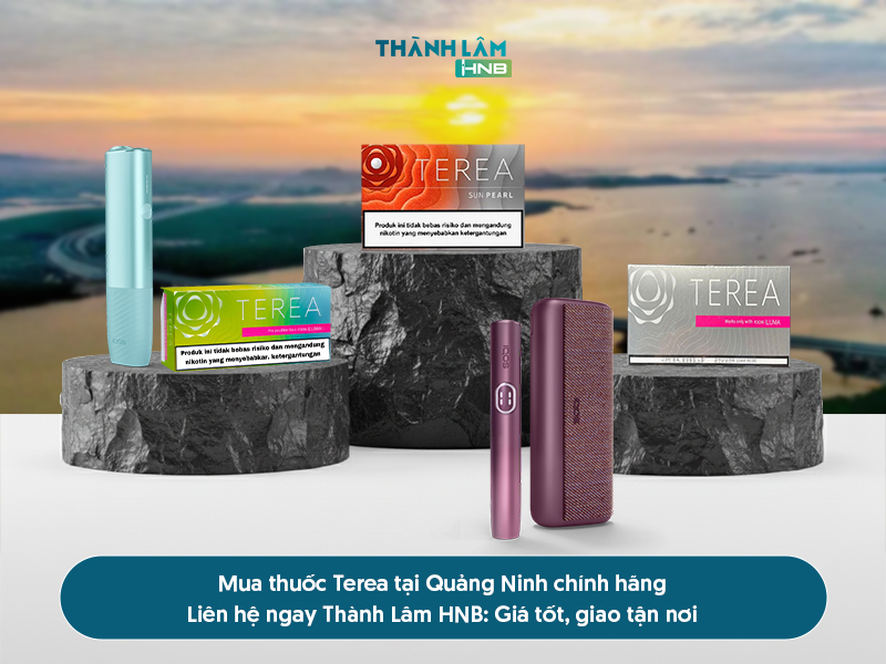 Mua thuốc Terea Quảng Ninh