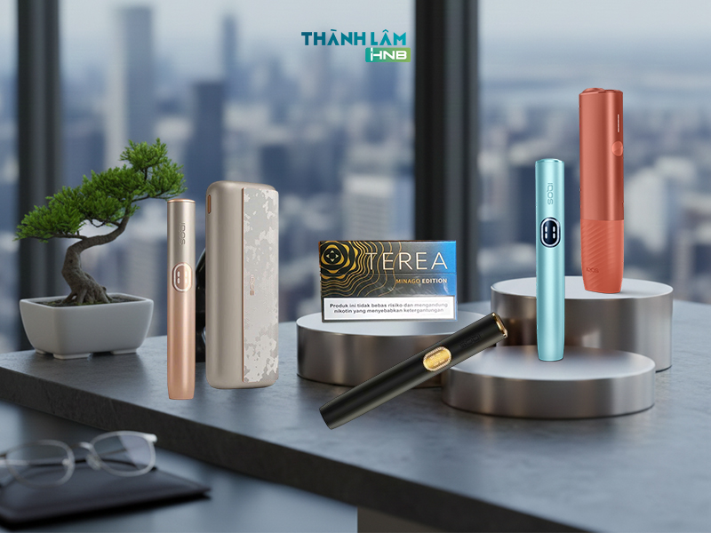 Terea indonesia Minago Edition