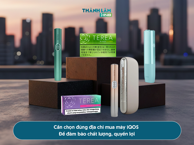Mua Terea cho máy IQOS giá gốc tại Hà Nội