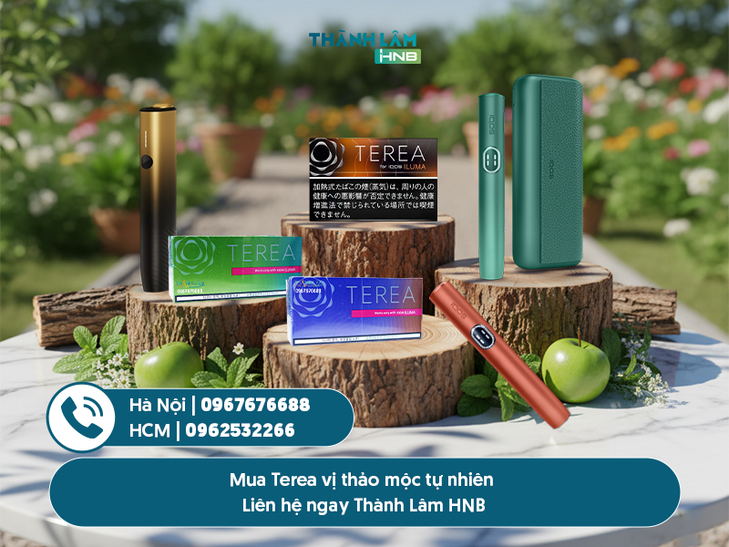 hương vị Terea thảo mộc 