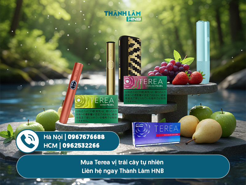 Terea vị trái cây tự nhiên