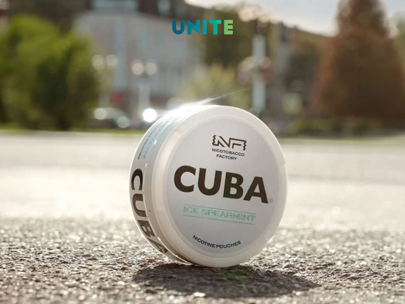 Mua nicotine pouches Nha Trang