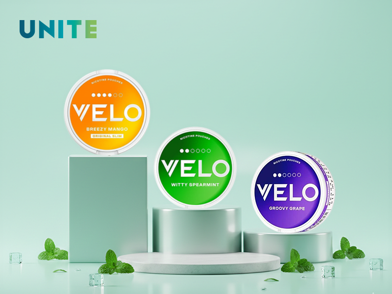 Mua túi ngậm nicotin Hà Nội