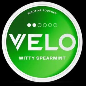 Hộp 20 túi Nicotine Snun Velo Witty Spearmint 6mg hương Bạc hà dí dỏm