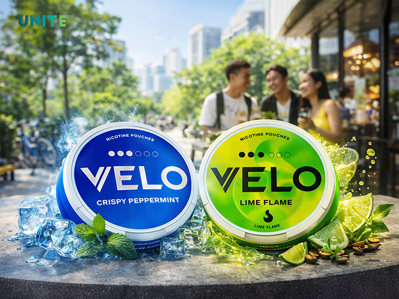 Cách sử dụng Nicotine poucher