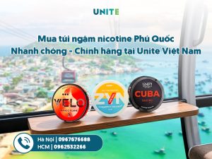 Mua túi ngậm nicotine Phú Quốc