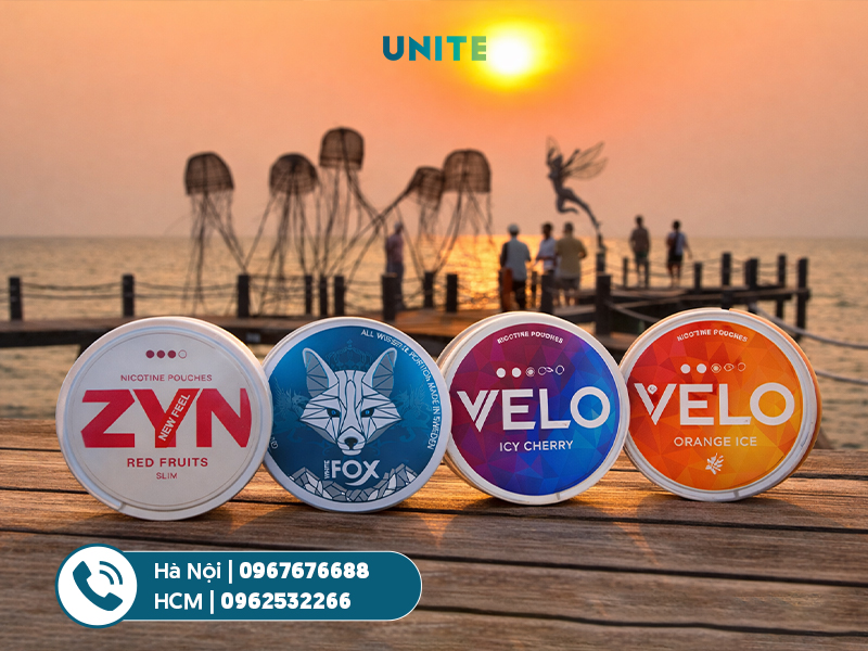 Mua túi ngậm nicotine Phú Quốc