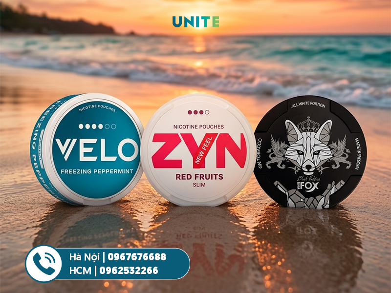 Mua túi ngậm nicotine Phú Quốc