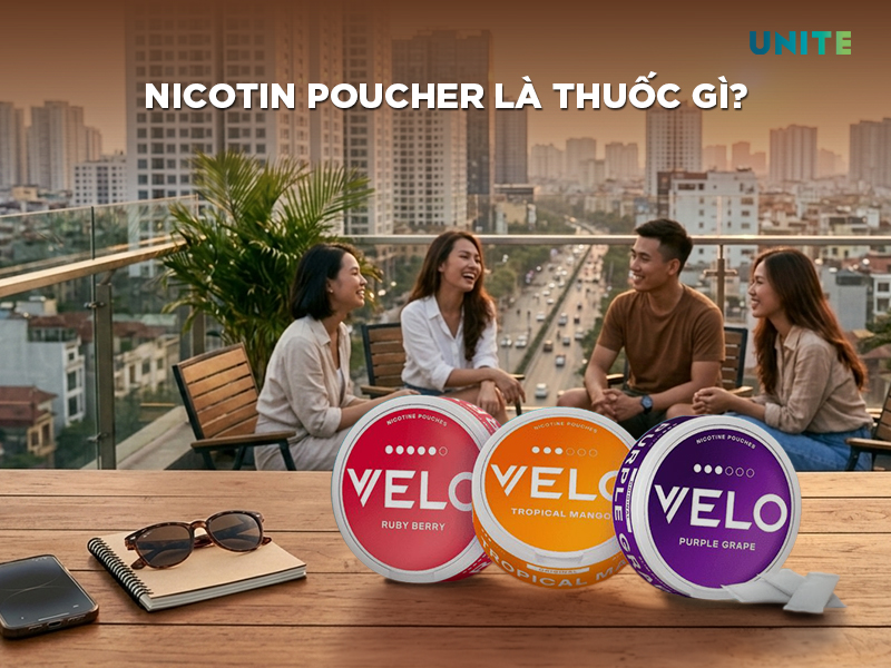 Nicotine poucher là thuốc gì