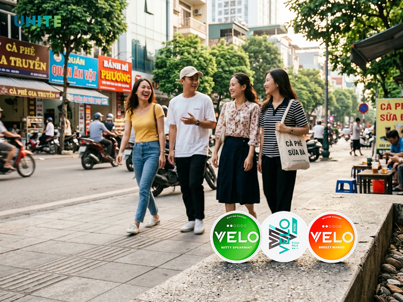 Túi ngậm nicotine chính hãng