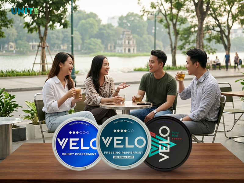 Mua túi ngậm thuốc lá Hà Nội