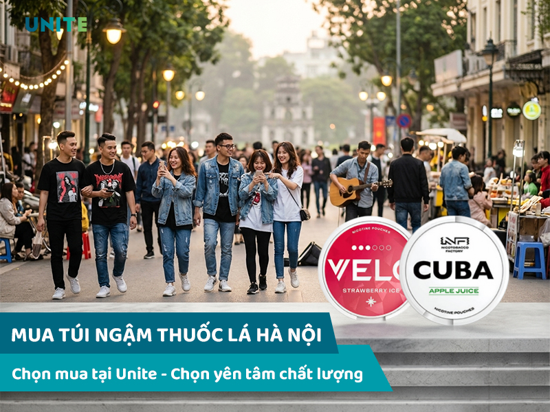 Mua túi ngậm thuốc lá Hà Nội