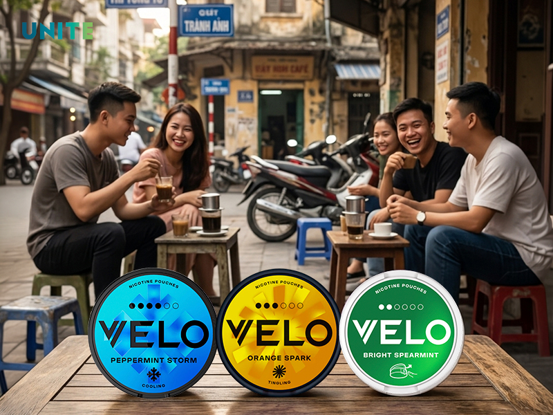 Nicotine poucher chính hãng