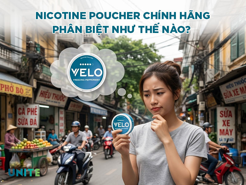 Nicotine poucher chính hãng