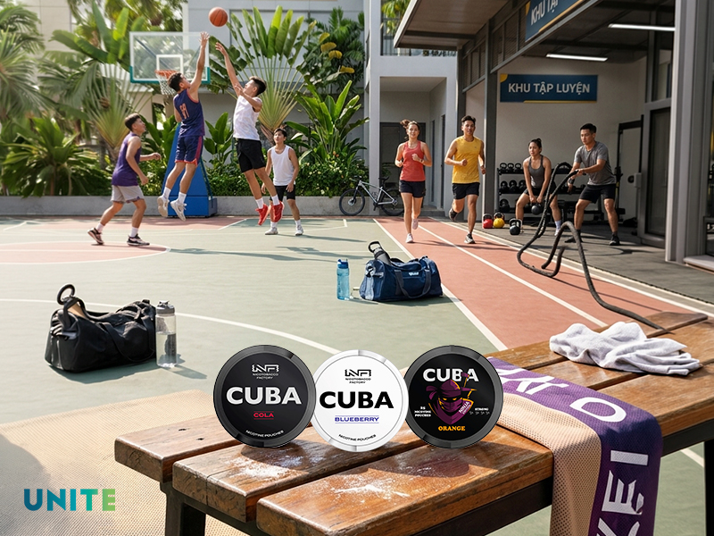 Nicotine Poucher xách tay