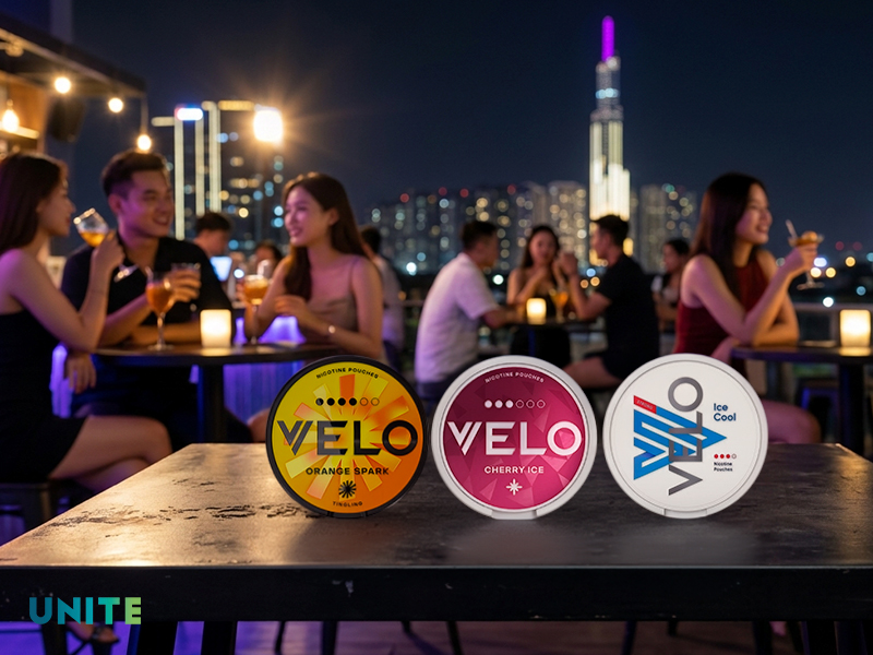 Nicotine Poucher xách tay