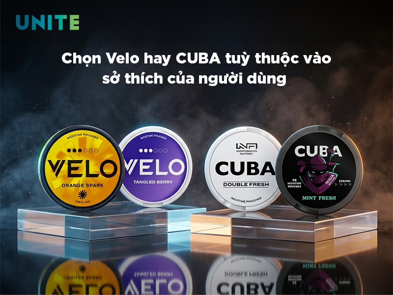Velo vs Cuba: So sánh chi tiết nhất về giá cả, hương vị, trải nghiệm sử dụng