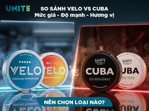 Velo vs Cuba: So sánh chi tiết nhất về giá cả, hương vị, trải nghiệm sử dụng