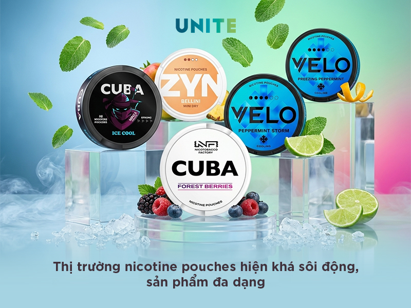 Đánh giá chất lượng nicotine pouches trên thị trường