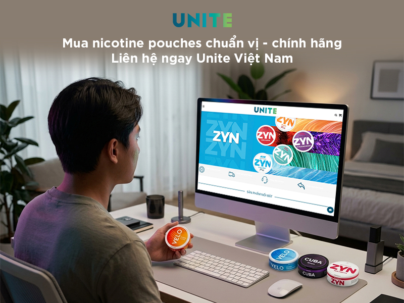 Đánh giá chất lượng nicotine pouches trên thị trường