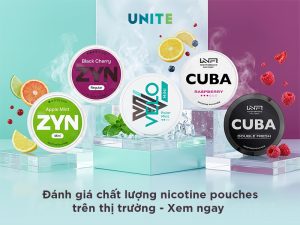 Đánh giá chất lượng nicotine pouches trên thị trường